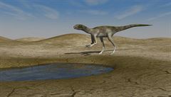 3D rekonstrukce dinosau�ího p�vodce stopy