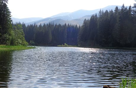 Vrbické pleso