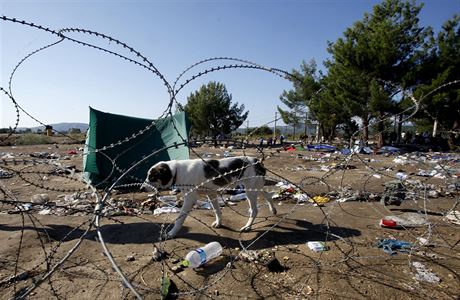 Makedonie chce kolem své hranice postavit plot proti uprchlíkm