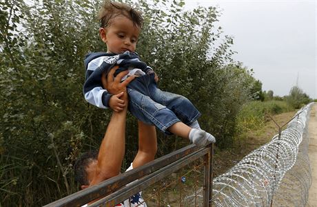 Pekonvn pekek. Syrsk uprchlice pedv dt pes plot, kter zaali...