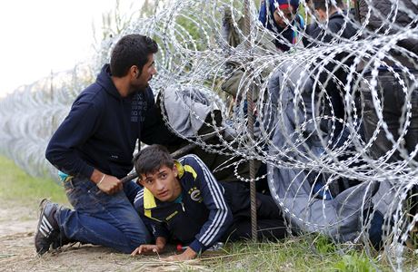 Uprchlíci ze Sýrie překonávají ostnatý plot na srbsko-maďarských hranicích.