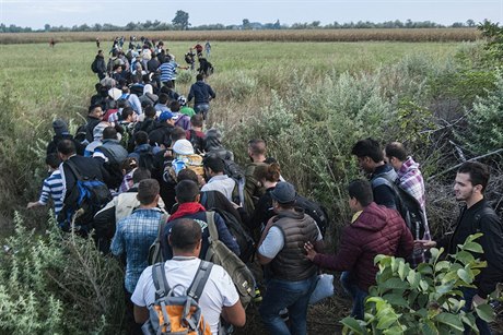 Srbsko-maďarské hranice překročil během pondělka rekordní počet 2093 migrantů.