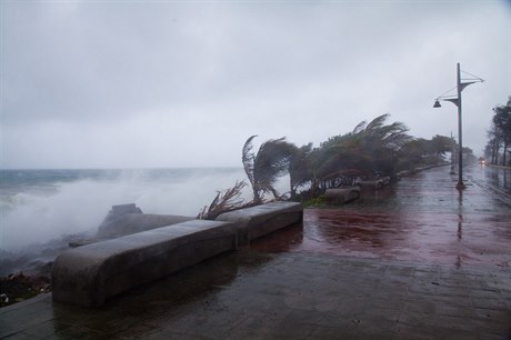 Boue Erika se blíí k Dominikánské republice.