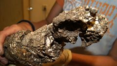 V Olomouci objevili archeologové zlomek mamutího klu