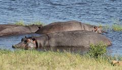 Po stopách UNESCO: Botswana, národní park a sloní oči