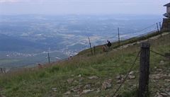 Cesta na Sn�ku. V pozadí polská rovina.