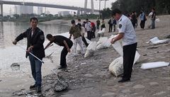 Toxiny uvoln�né explozí zahubily tisíce ryb v �ece Chaj-che, je� protéká �tvrtí...