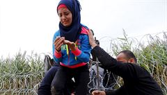 Uprchlíci ze Sýrie pekonávají ostnatý plot na srbsko-maarských hranicích.