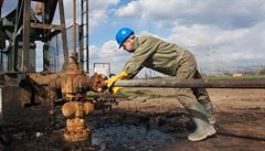 Ukrajina podle fa Naftogazu pestala platit za rusk plyn