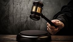 Soud potvrdil pt let za korupci pro bval bachae z vznice Rnovice