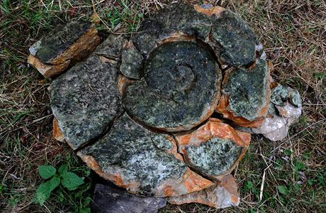 Dno eky Ohe odhalilo u Kesna na Litomicku ob prehistorick zkamenn...