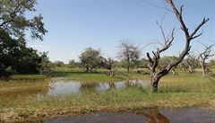 Po stopách UNESCO: Delta Okavango a cesta přes poušť Kalahari