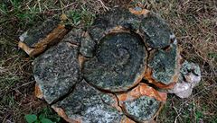 Dno eky Ohe odhalilo u Kesína na Litomicku obí prehistorické zkamenné...