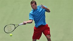 Adam Pavlásek pi tyhe v Davis Cupu.