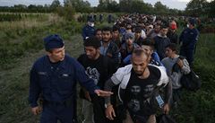 Maartí policisté se snaí organizovat skupinu migrant u hranic s Chorvatskem...