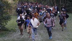Migranti utíkají pes chorvatsko-maarskou hranici (Zakany, Maarsko).