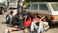Policie zajistila na Jihlavsku sedm migrant ze Srie. Peveli je vdov