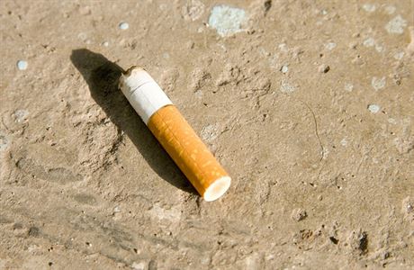 Sněmovna podpořila zdražení cigaret i stravenkový paušál. Vládní balík  zasahuje do tří desítek zákonů | Domov | Lidovky.cz