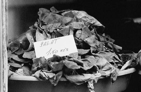 Z cyklu Praské výlohy / Prague shop windows  1976 - 1996