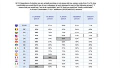 Muslimové a budhisté by vadili mnohým �ech�m i jako pracovní kolegové.