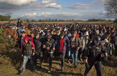 Slovinská policie monitoruje stovky migrant, kteí do zem vstoupili z území...