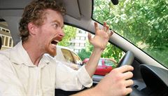 Řidiči by měli za vulgární gesta platit pokutu, myslí si poslanec Huml