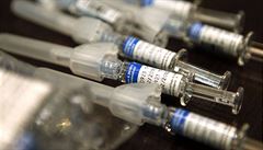 Očkování proti prasečí chřipce (ilustrační foto). | na serveru Lidovky.cz | aktuální zprávy