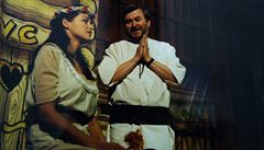 Franti�ek Ringo �ech v h�e Dív�í válka