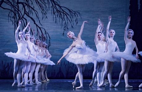 Royal Russian Ballet: Labutí jezero