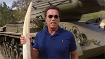 Schwarzenegger se zapojil do zchrany slon