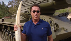 Schwarzenegger chce zachrnit africk slony. V klipu vyhod kel do vzduchu