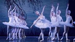 Klasická ruská baletní škola v podání Royal Russian Balletu předvede v Česku Labutí jezero