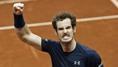 Andy Murray si letoní Davis Cup opravdu uil.