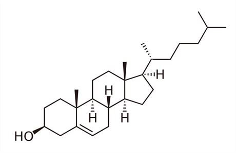 Vzorec cholesterolu