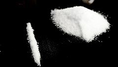 Kokain | na serveru Lidovky.cz | aktuální zprávy
