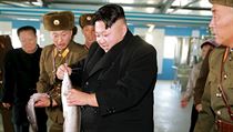 Kim Čong-un na inspekci farmy zabývající se chovem sumců (snímek zveřejněný...