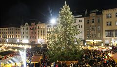 Nejkrsnjm vnonm stromkem je douglaska v Olomouci