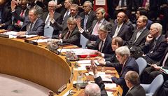 Rada bezpenosti OSN pi jednání ohledn rezoluce o Sýrii.