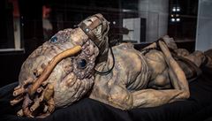 Z torontské výstavy David Cronenberg: Evolution. Rekvizita z filmu Nahý ob�d.