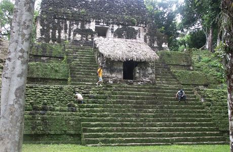 V Tikalu je mon navtvit mnoho chrm