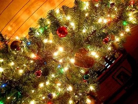 vánoční strom - ilustrační foto