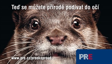 Reklamní vizuál, který provází nabídku zelené elektiny od Praské energetiky.