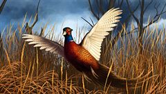 Pheasant (baant)
