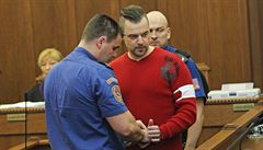 Petr Kramný si u soudu 7. ledna vyslechl 28letý trest.