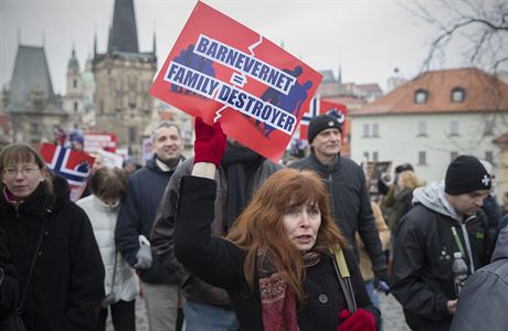 Úastníci demonstrace proti norské organizaci Barnevernet.