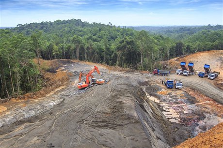 Destrukci indonéského deštného pralesa
