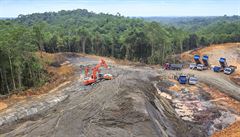 Destrukci indonéského detného pralesa
