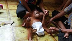 Zachránné mlád orangutana