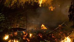 Píinou poár v Indonésii bylo vypalování les a vysuování raelini pro...