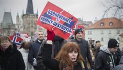 Úastníci demonstrace proti norské organizaci Barnevernet.